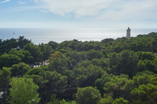 Luxury Ocean View Apartment - Cascais - Gallery - 6