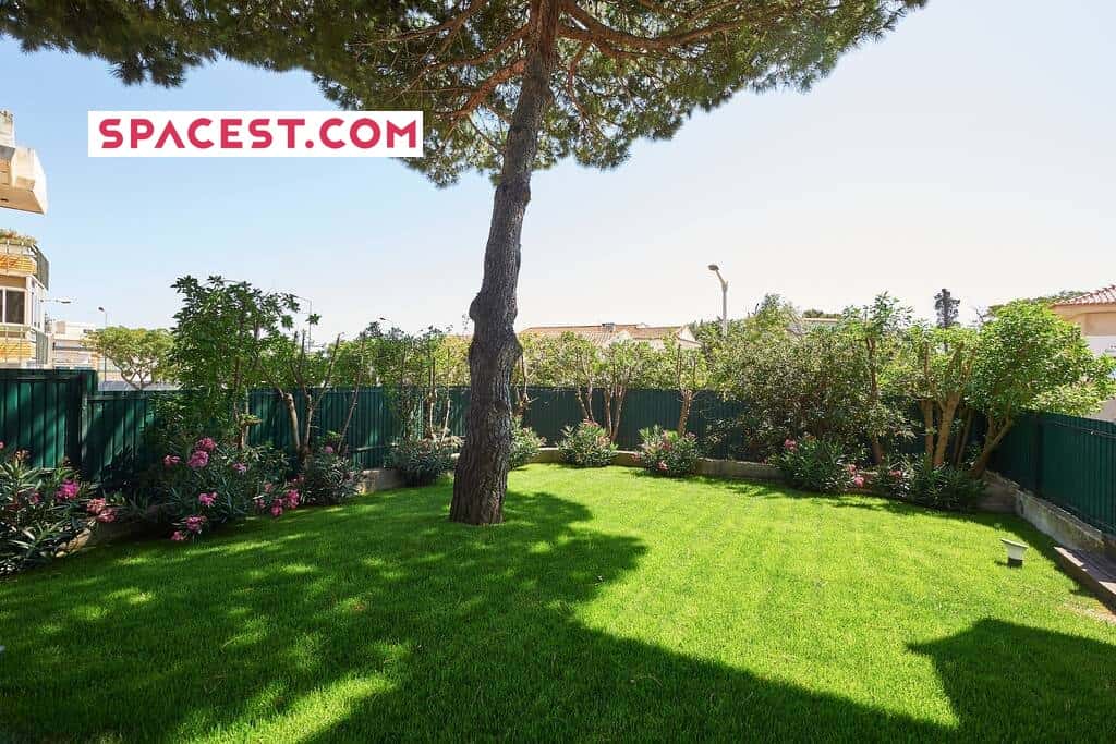 Central Holiday Home Pool - Cascais - Central Holiday Home Pool - Cascais - Gallery - 1