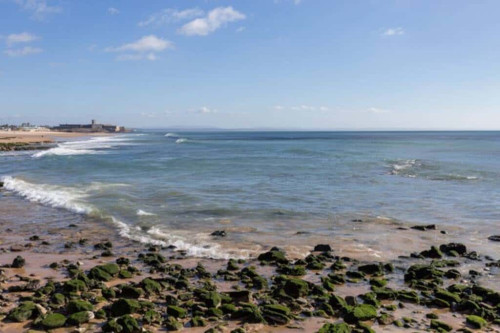 Apartment in Carcavelos - Gallery - 15