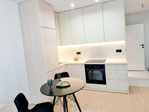 Beautiful 1-bedroom apartment in Grzegórzki Zachód  - Gallery -  5