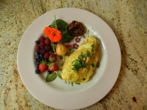 Organic garden with courmet foods  - Gallery - 40