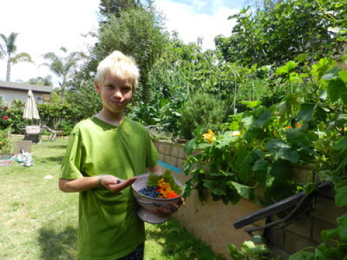 Organic garden with courmet foods  - Gallery - 38