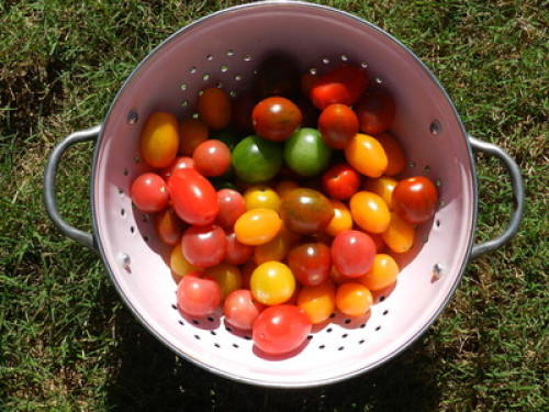 Organic garden with courmet foods  - Gallery - 28