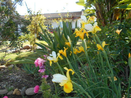 Organic garden with courmet foods  - Gallery - 39