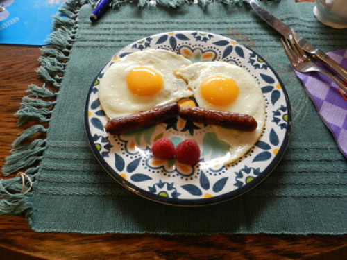 Organic garden with courmet foods 