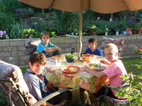 Organic garden with courmet foods  - Gallery - 3