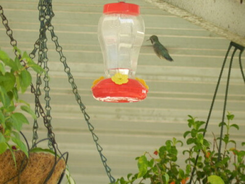 Organic garden with courmet foods  - Gallery - 5