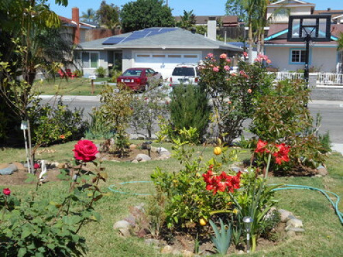 Organic garden with courmet foods 