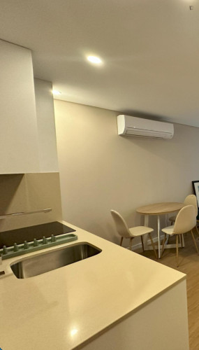 Alluring 1 Bedroom Apartment close to  University of Minho - Campus of Gualtar