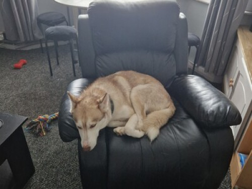 A real taste of Southwick