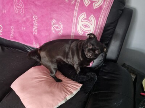 A real taste of Southwick