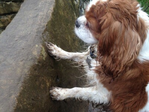 Spacious rooms, fabulous views