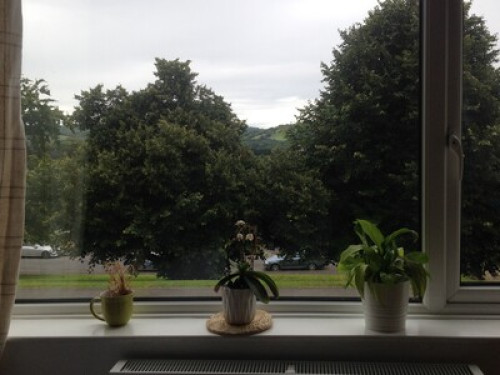 Spacious rooms, fabulous views