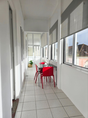 Sunny 4-bedroom apartment in Montes Claros - Gallery - 13