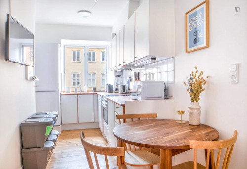 Bright double bedroom in Latinerkvarteret