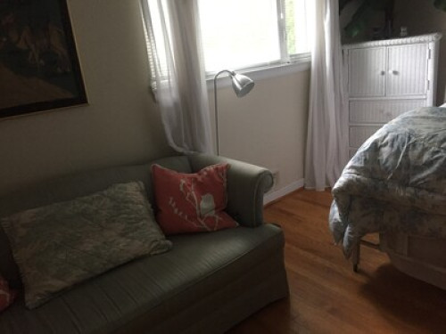 STARLIGHT  - Gallery -  5