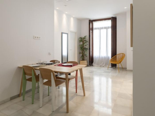 Paz - Gallery - 20
