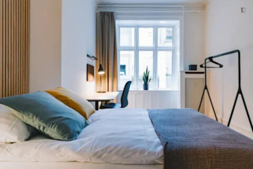 Bright single bedroom in vibrant city centre