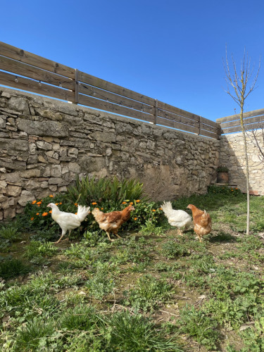 La Fortesa Home - Gallery - 6