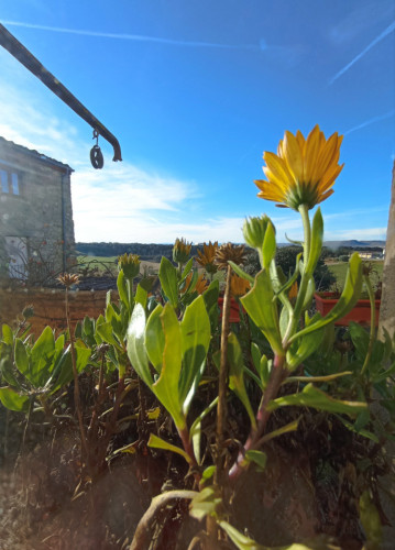 La Fortesa Home - Gallery - 15