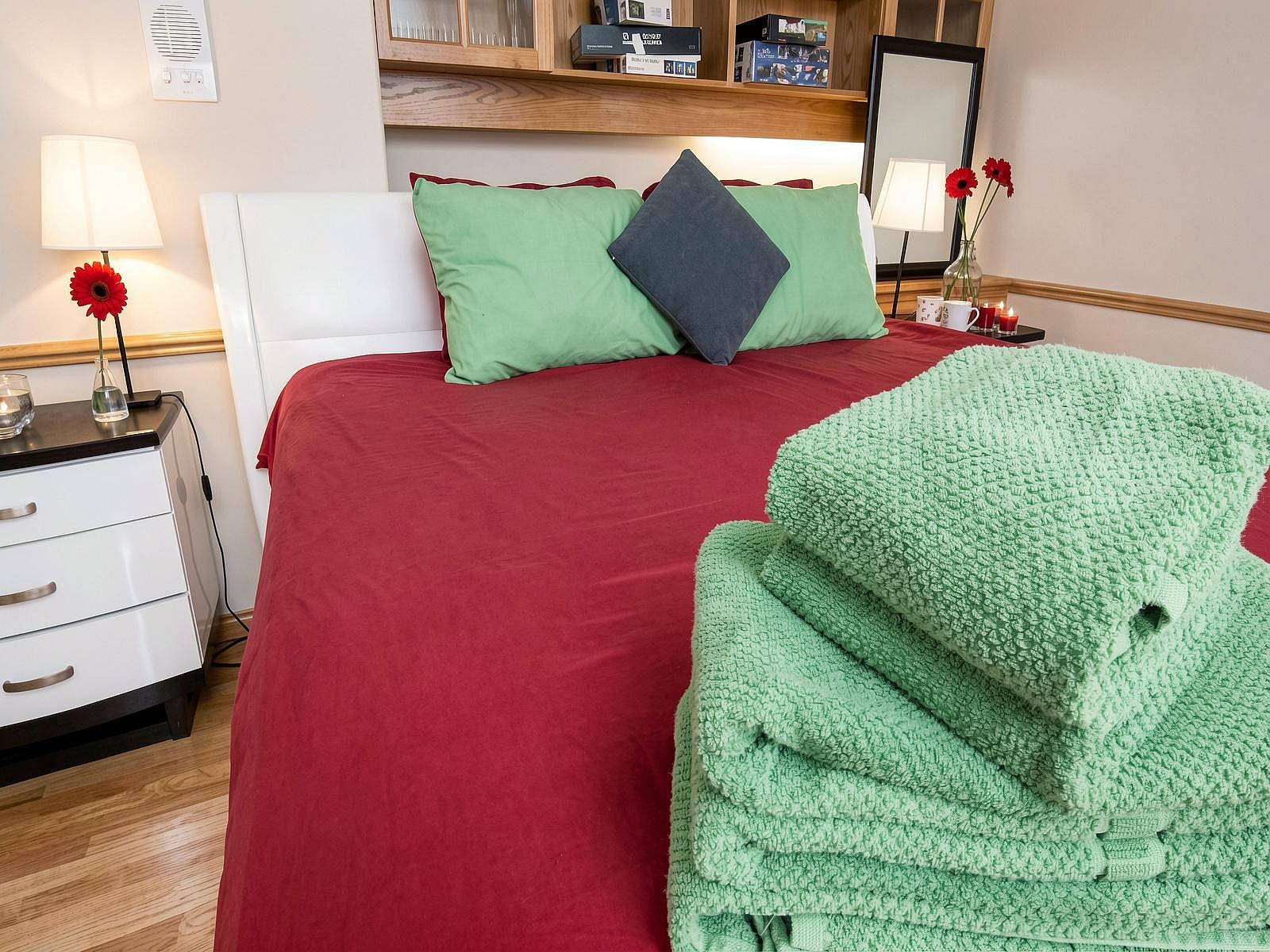  Beautiful Private Room Shared Bath ✨  -  Spacious Vibrant House w/ Backyard near Montgomery Park  - Gallery -  22