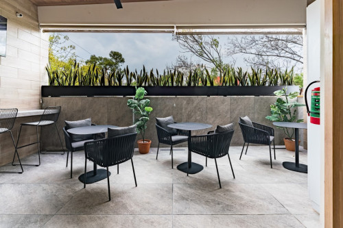 Monterrey Residence - Gallery - 5