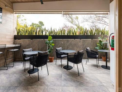 Monterrey Residence - Gallery - 20