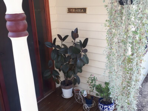Cottage on a hill - Gallery - 14