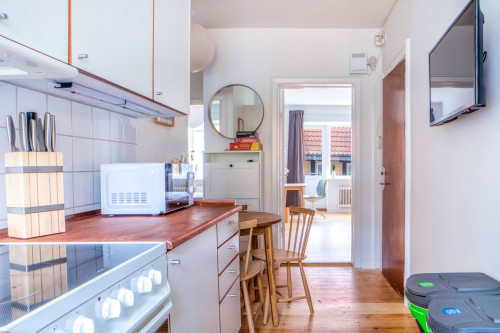 Stylish & Compact Apartment With Private Balconies near Fredensgade