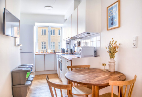 Stylish & Compact Apartment With Private Balconies near Fredensgade