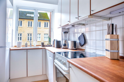 Stylish & Compact Apartment With Private Balconies near Fredensgade