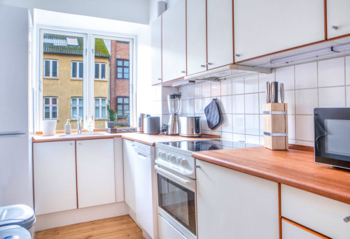 Stylish & Compact Apartment With Private Balconies near Fredensgade