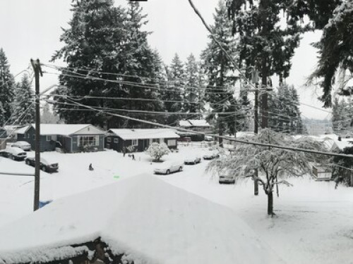 Homestay in Shoreline