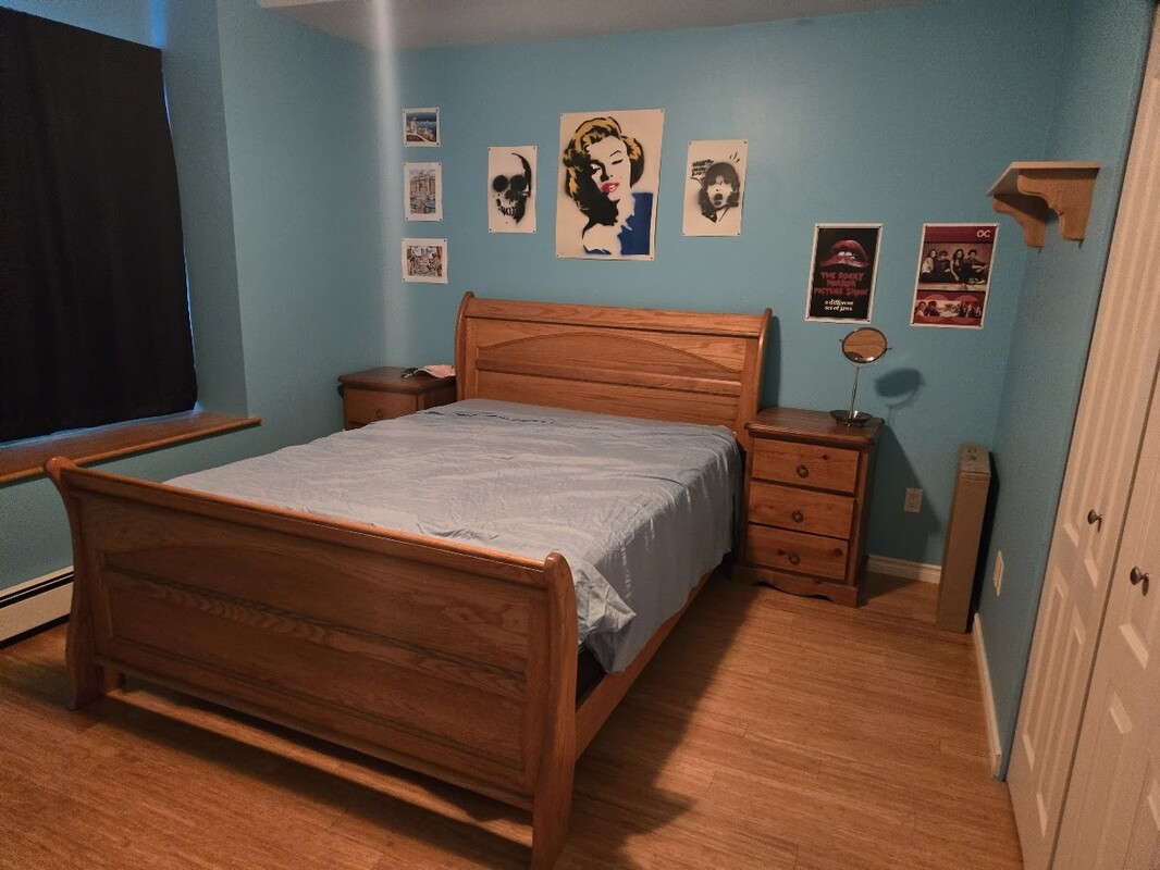Large Bedroom With Queen Size Bed(Single Bed) - 1