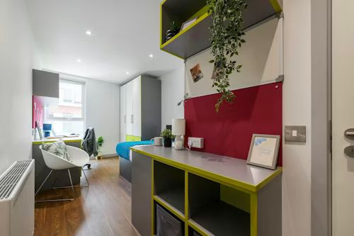 The Boulevard Roost - Gallery - 11