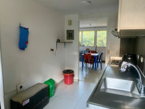 Room in place surrounded by trees