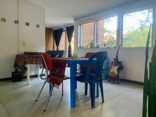 Room in place surrounded by trees