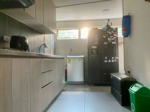 Room in place surrounded by trees