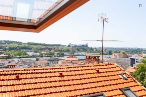Passionate 2 Bedroom House with a backyard close to University of Coimbra - Gallery - 6