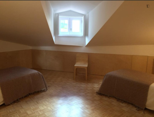 Welcoming 2 Bedroom Apartment close to Botanical Garden of the University of Coimbra