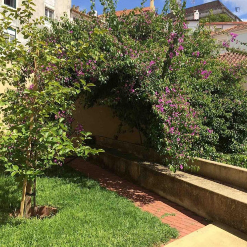 Welcoming 2 Bedroom Apartment close to Botanical Garden of the University of Coimbra - Gallery - 9