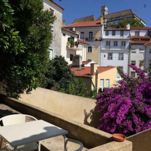 Welcoming 2 Bedroom Apartment close to Botanical Garden of the University of Coimbra - Gallery - 8