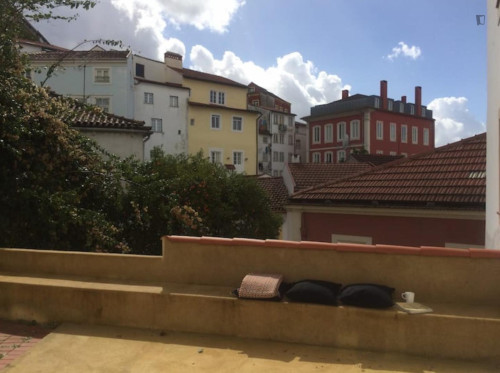 Welcoming 2 Bedroom Apartment close to Botanical Garden of the University of Coimbra - Gallery - 16