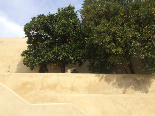Welcoming 2 Bedroom Apartment close to Botanical Garden of the University of Coimbra - Gallery - 7