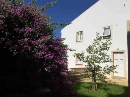 Welcoming 2 Bedroom Apartment close to Botanical Garden of the University of Coimbra - Gallery - 10