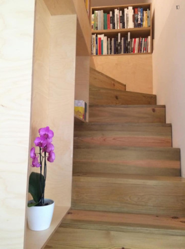 Welcoming 2 Bedroom Apartment close to Botanical Garden of the University of Coimbra - Gallery - 18