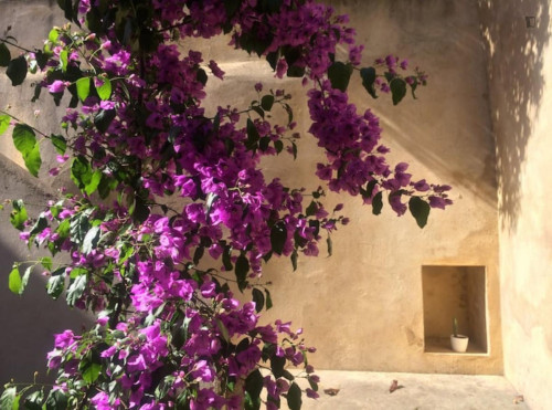 Welcoming 2 Bedroom Apartment close to Botanical Garden of the University of Coimbra - Gallery - 6