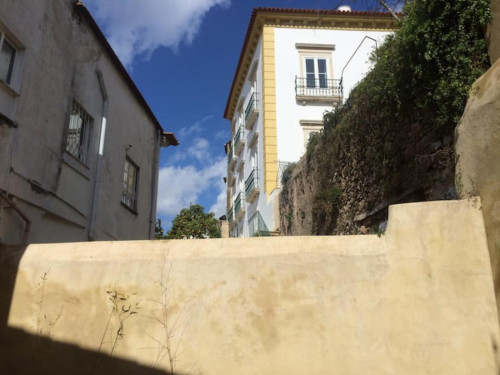 Welcoming 2 Bedroom Apartment close to Botanical Garden of the University of Coimbra