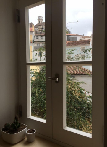 Welcoming 2 Bedroom Apartment close to Botanical Garden of the University of Coimbra  - Gallery -  5