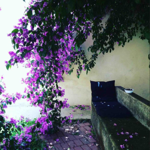 Welcoming 2 Bedroom Apartment close to Botanical Garden of the University of Coimbra - Gallery - 13